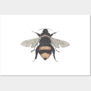 Bee, the gardener's friend. Buzzing! On bright green. Posters and Art